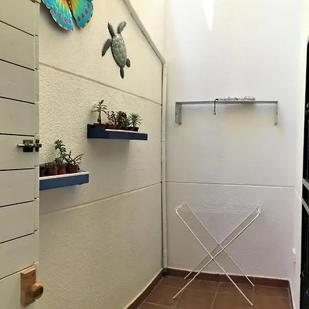 Appartement Tortuga's Mood