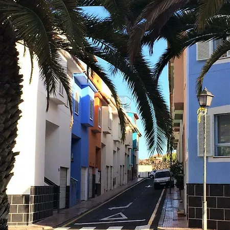 Tortuga's Mood Alcalá la Real