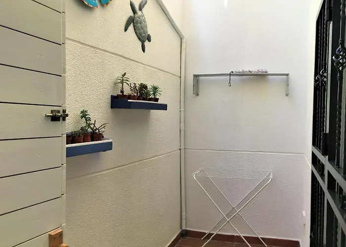 Apartament Tortuga's Mood